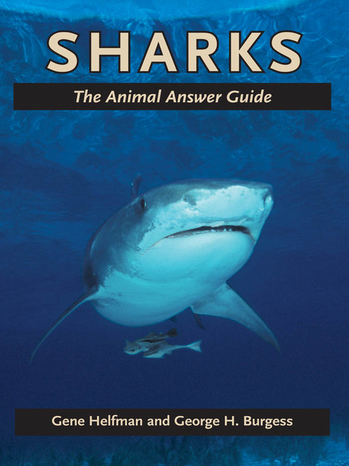 Title details for Sharks by Gene Helfman - Wait list